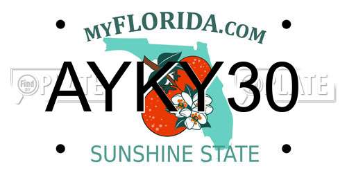 AYKY30 Florida License Plate
