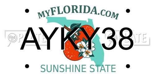 AYKY38 Florida License Plate