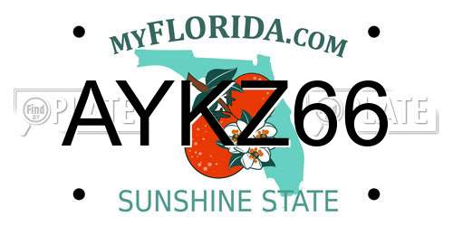 AYKZ66 Florida License Plate