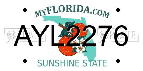 AYL2276 Florida License Plate