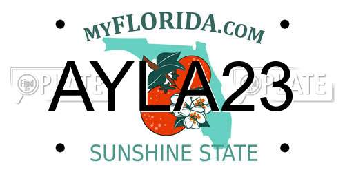 AYLA23 Florida License Plate