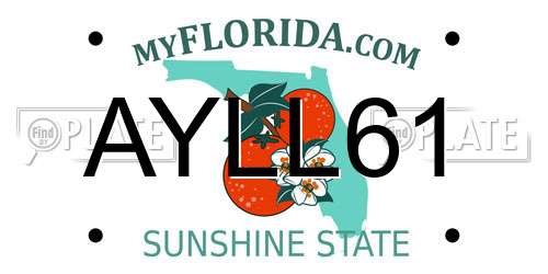 AYLL61 Florida License Plate