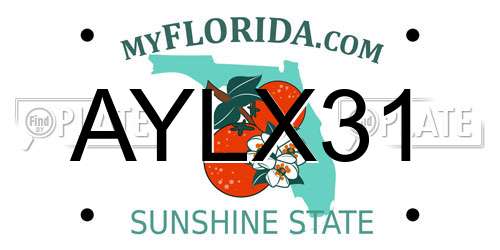 AYLX31 Florida License Plate