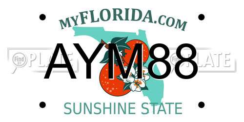 AYM88 Florida License Plate