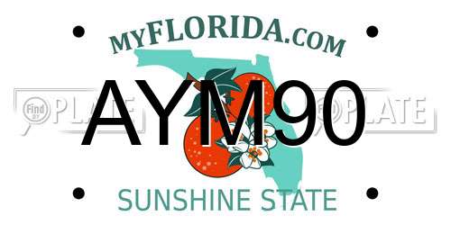 AYM90 Florida License Plate