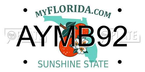 AYMB92 Florida License Plate