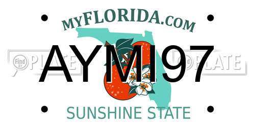 AYMI97 Florida License Plate