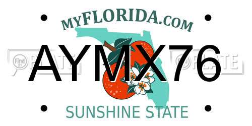 AYMX76 Florida License Plate