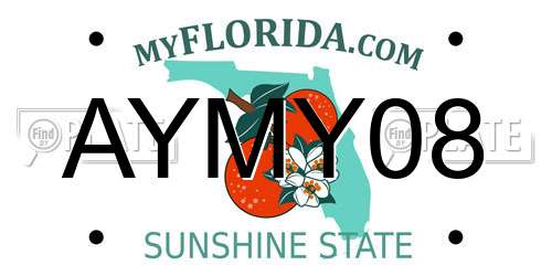 AYMY08 Florida License Plate