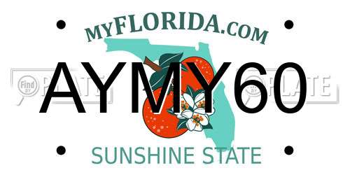 AYMY60 Florida License Plate