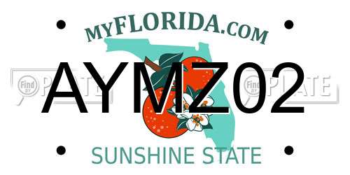 AYMZ02 Florida License Plate