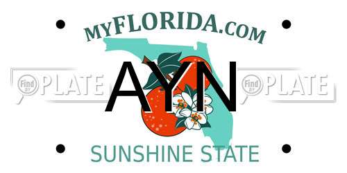 AYN Florida License Plate