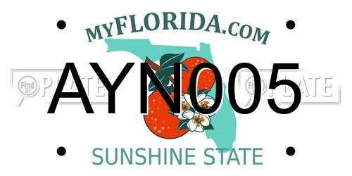 AYN005 Florida License Plate