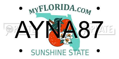 AYNA87 Florida License Plate