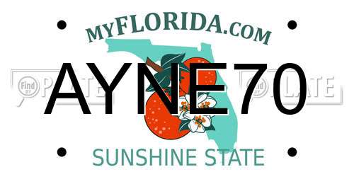 AYNE70 Florida License Plate
