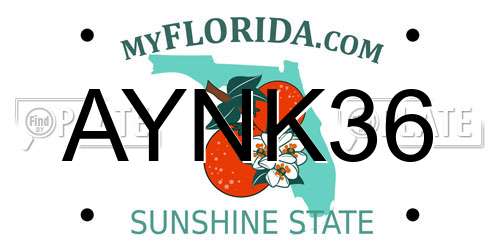 AYNK36 Florida License Plate