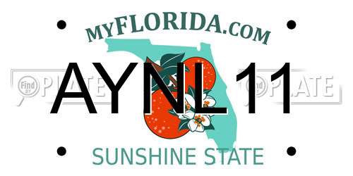 AYNL11 Florida License Plate
