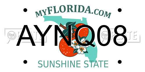 AYNQ08 Florida License Plate