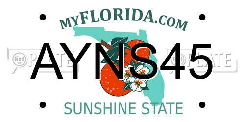 AYNS45 Florida License Plate