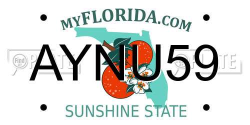 AYNU59 Florida License Plate