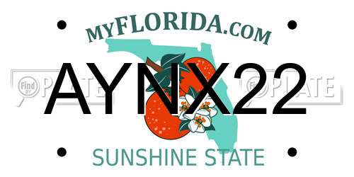 AYNX22 Florida License Plate