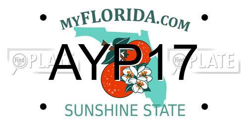 AYP17 Florida License Plate