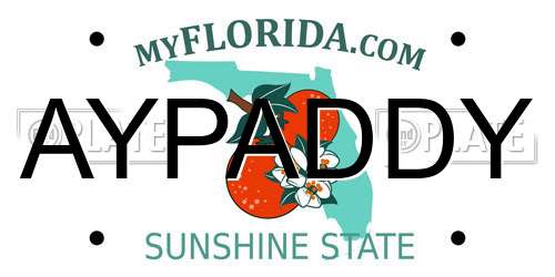 AYPADDY Florida License Plate