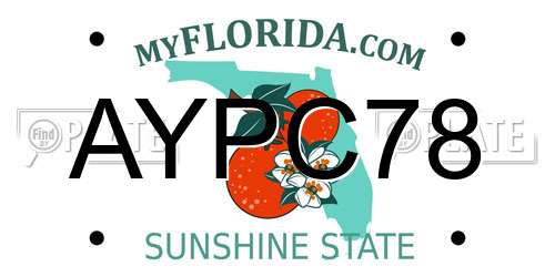AYPC78 Florida License Plate