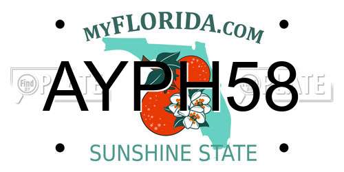 AYPH58 Florida License Plate