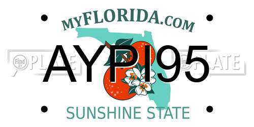 AYPI95 Florida License Plate