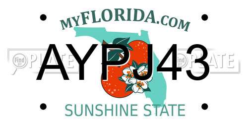 AYPJ43 Florida License Plate