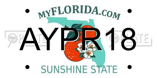 AYPR18 Florida License Plate