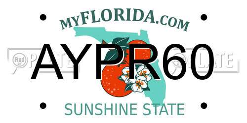 AYPR60 Florida License Plate
