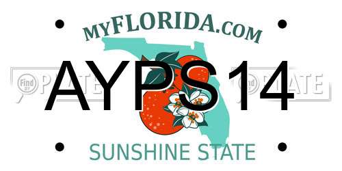 AYPS14 Florida License Plate