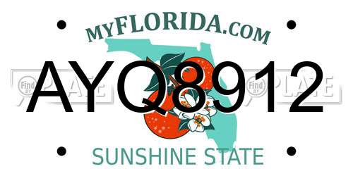 AYQ8912 Florida License Plate