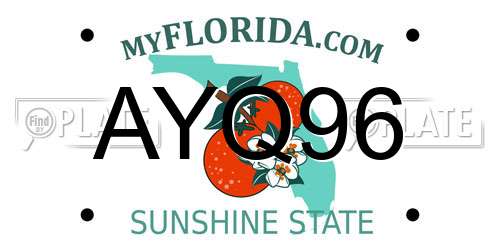 AYQ96 Florida License Plate