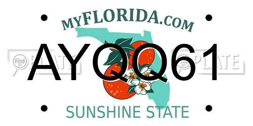 AYQQ61 Florida License Plate