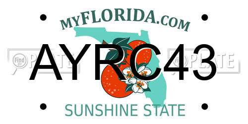 AYRC43 Florida License Plate