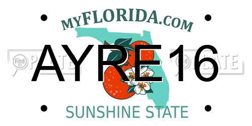 AYRE16 Florida License Plate
