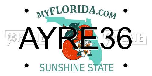 AYRE36 Florida License Plate