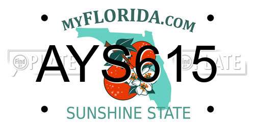 AYS615 Florida License Plate