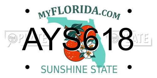 AYS618 Florida License Plate