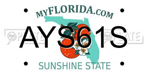AYS61S Florida License Plate