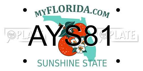 AYS81 Florida License Plate