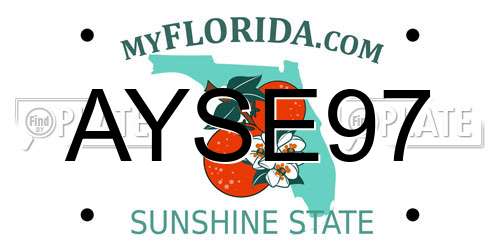 AYSE97 Florida License Plate