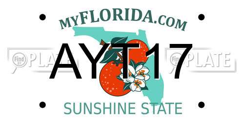 AYT17 Florida License Plate