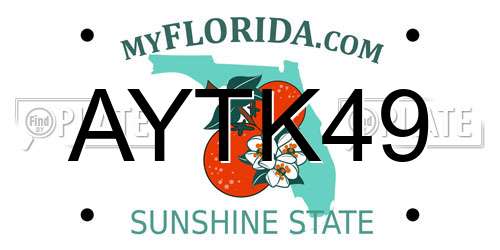 AYTK49 Florida License Plate