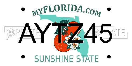 AYTZ45 Florida License Plate