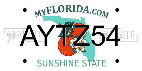 AYTZ54 Florida License Plate