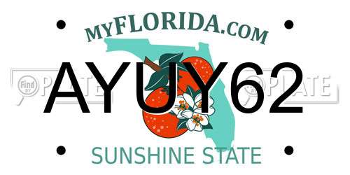 AYUY62 Florida License Plate